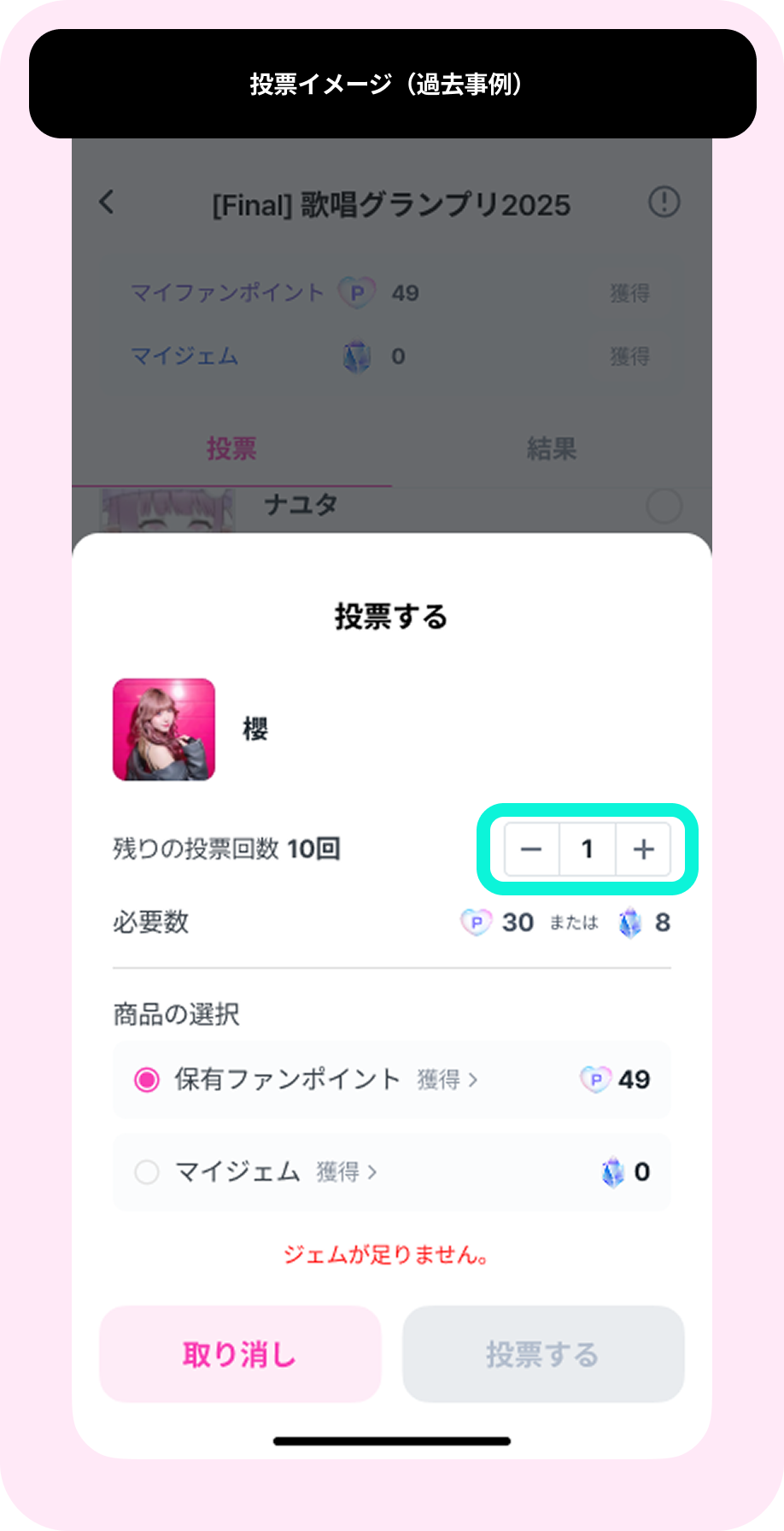 04_일반투표_3.png