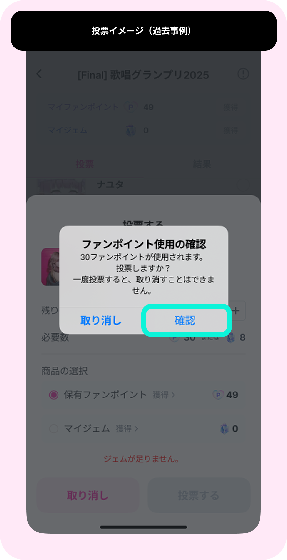04_일반투표_4.png