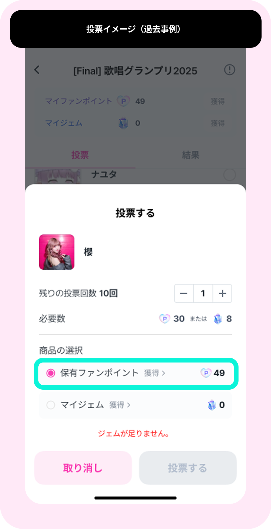 04_일반투표_3.png